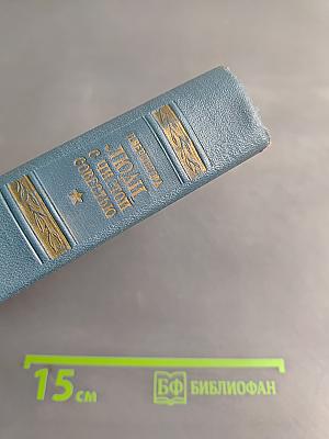 Люди с чистой совестью. Книга вторая. Карпатский рейд