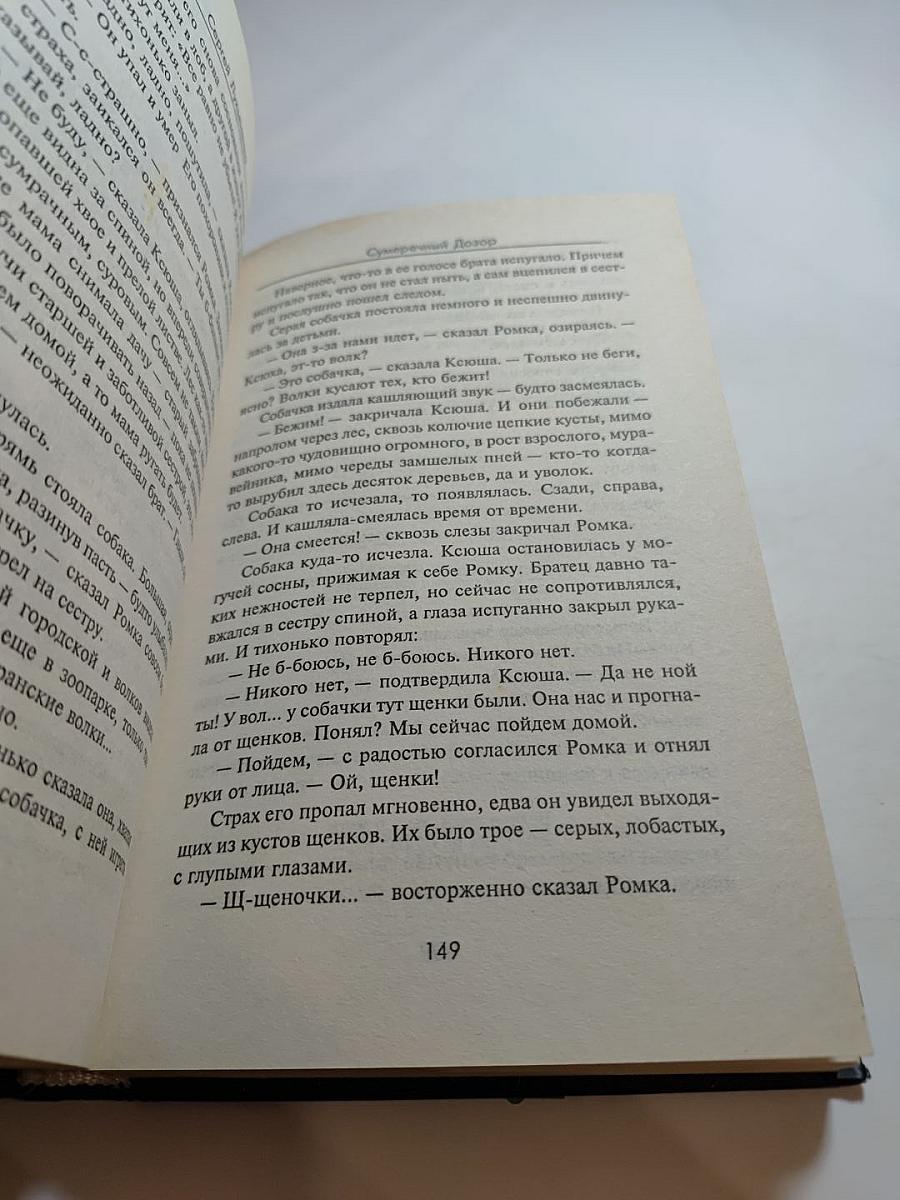 Сумеречный Дозор