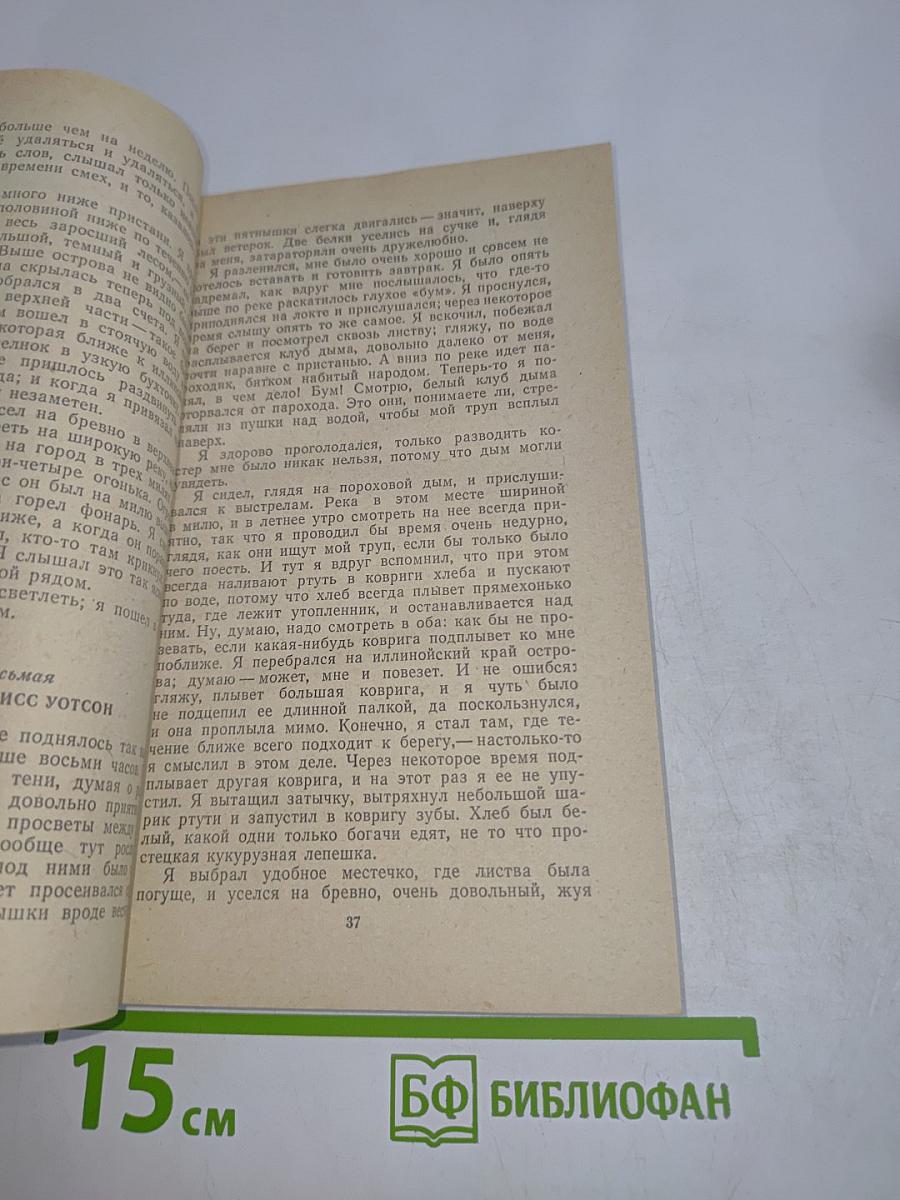 Приключения Гекльберри Финна