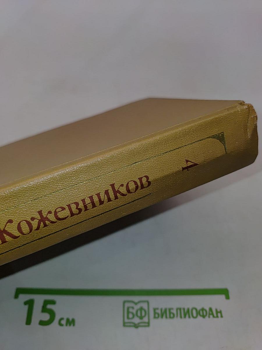 Собрание сочинений. Том четвертый. Солнце ездит на оленях