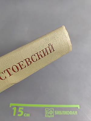 Идиот. Том восьмой