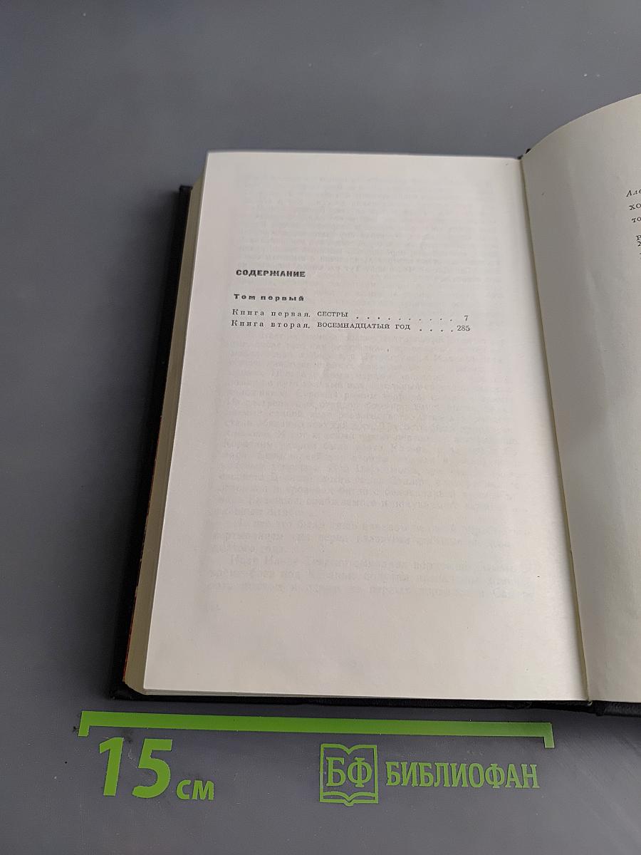 Хождение по мукам. Книга первая. Сестры