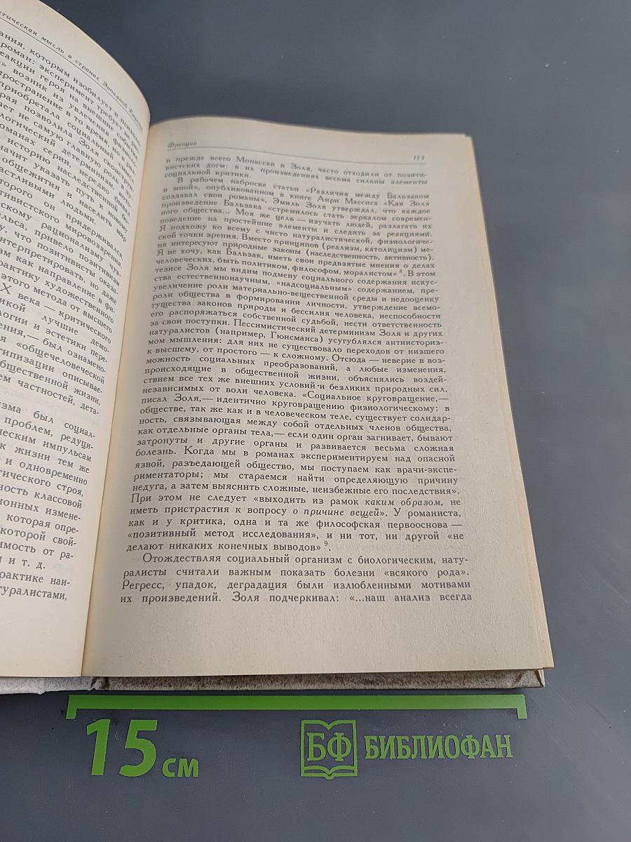 История эстетической мысли. Том четвертый. Вторая половина XIX века