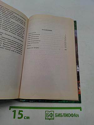 Война мага. Том четвертый. Конец игры. Часть 2