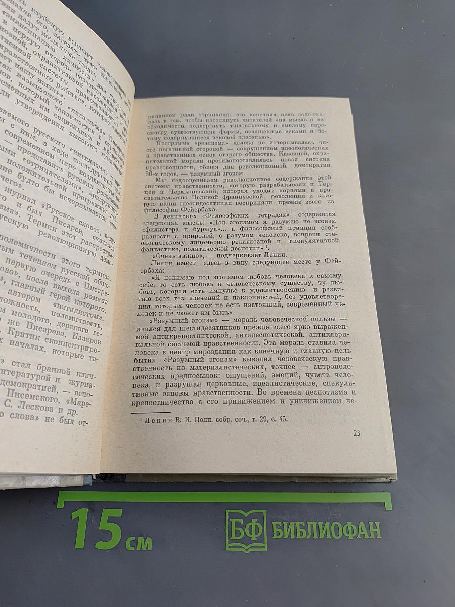 Публицисты 1860-х годов. Круг "Русского слова"