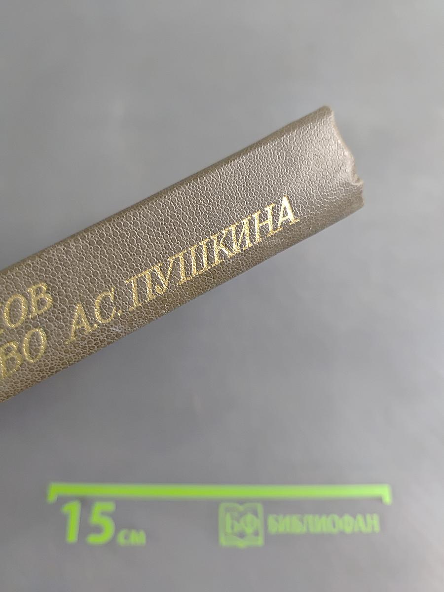 Жизнь и творчество А.С. Пушкина