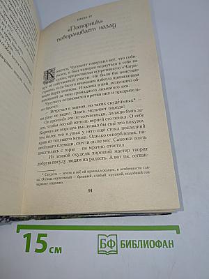 Там, где лес не растет
