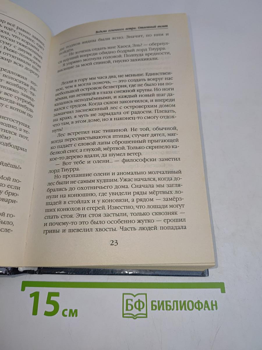 Ведьма огненного ветра. Ответный визит