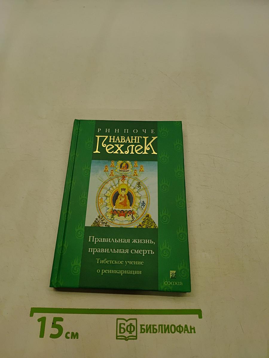 Правильная жизнь, правильная смерть: Тибетское учение о реинкарнации
