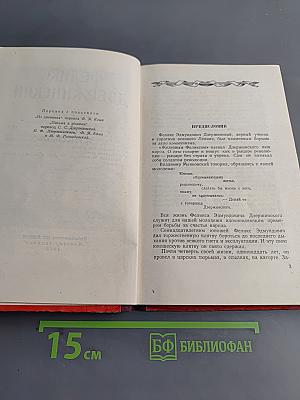 Дневник и письма