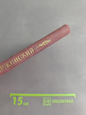 Дневник и письма