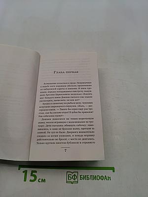 Сломанная тень