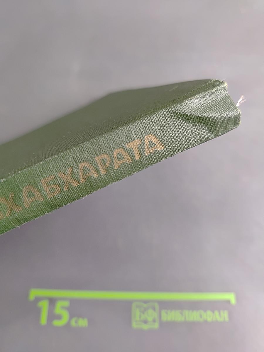 Махабхарата. Книга о нападении на спящих. Книга о женах