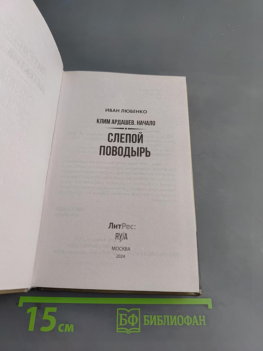Слепой поводырь