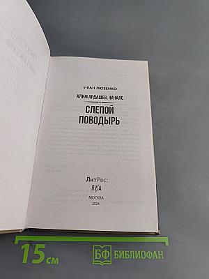 Слепой поводырь