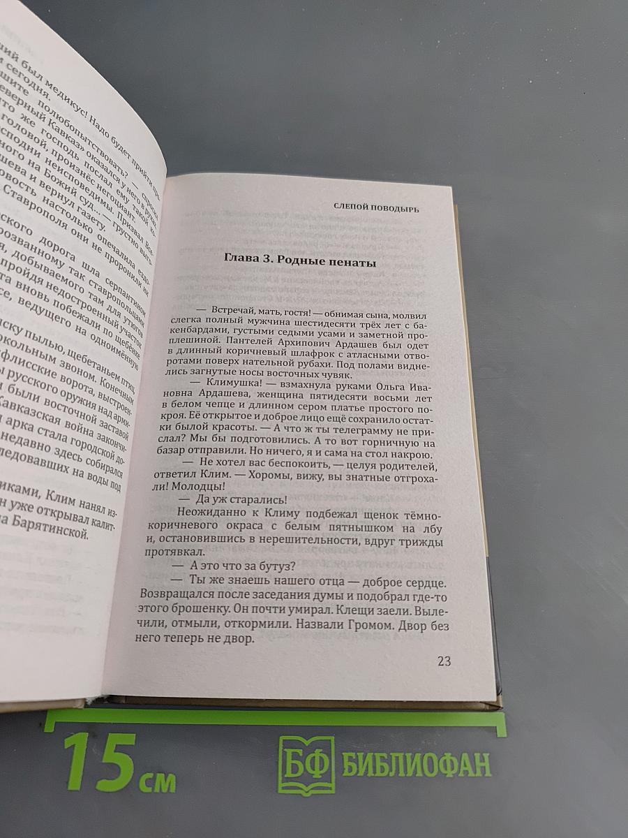 Слепой поводырь