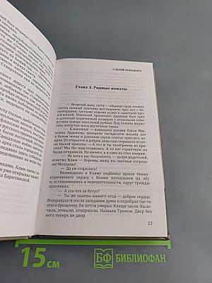 Слепой поводырь