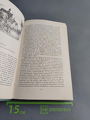 Ярмарка тщеславия. Роман без героя. Том II