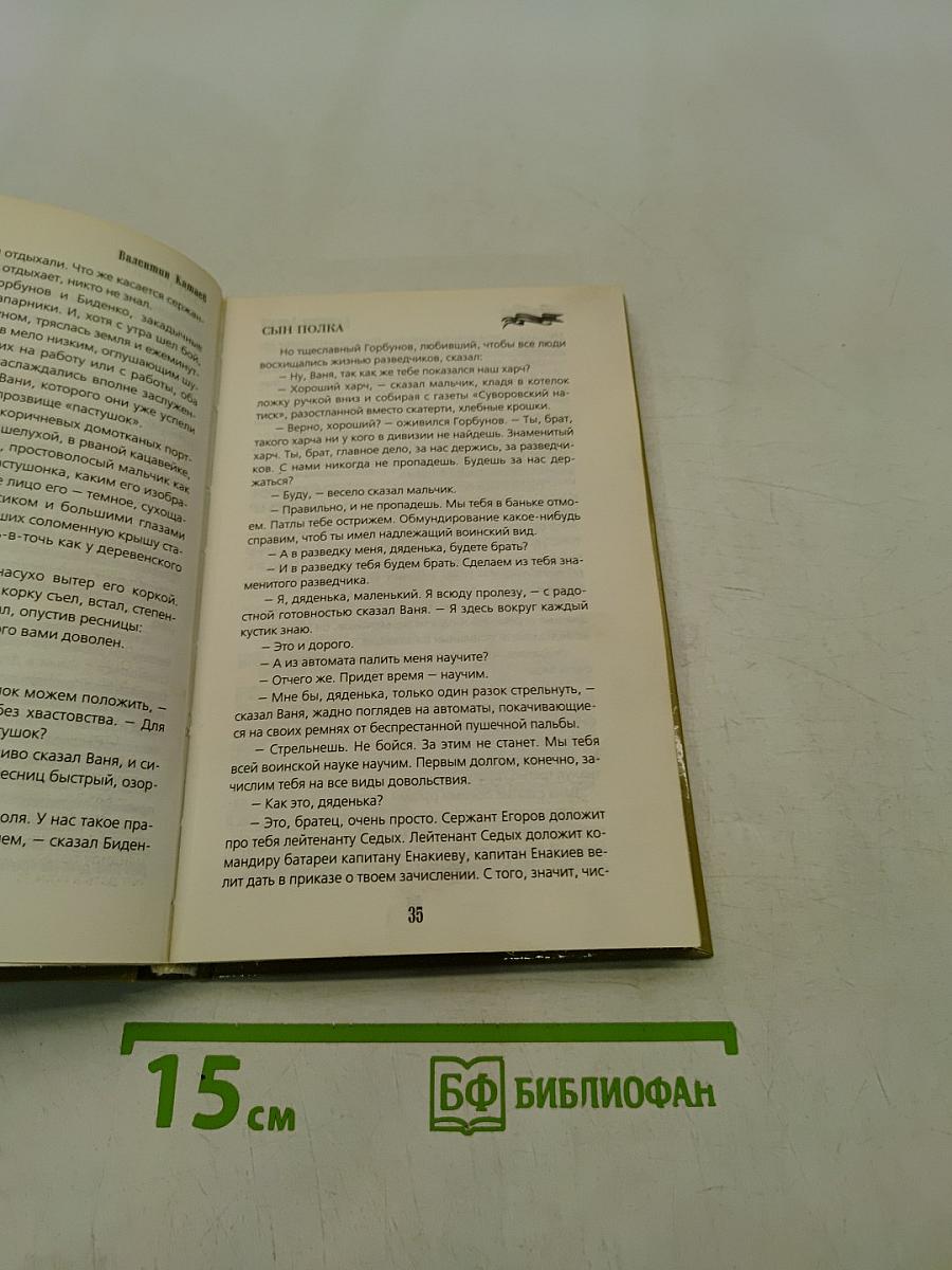 Сын полка