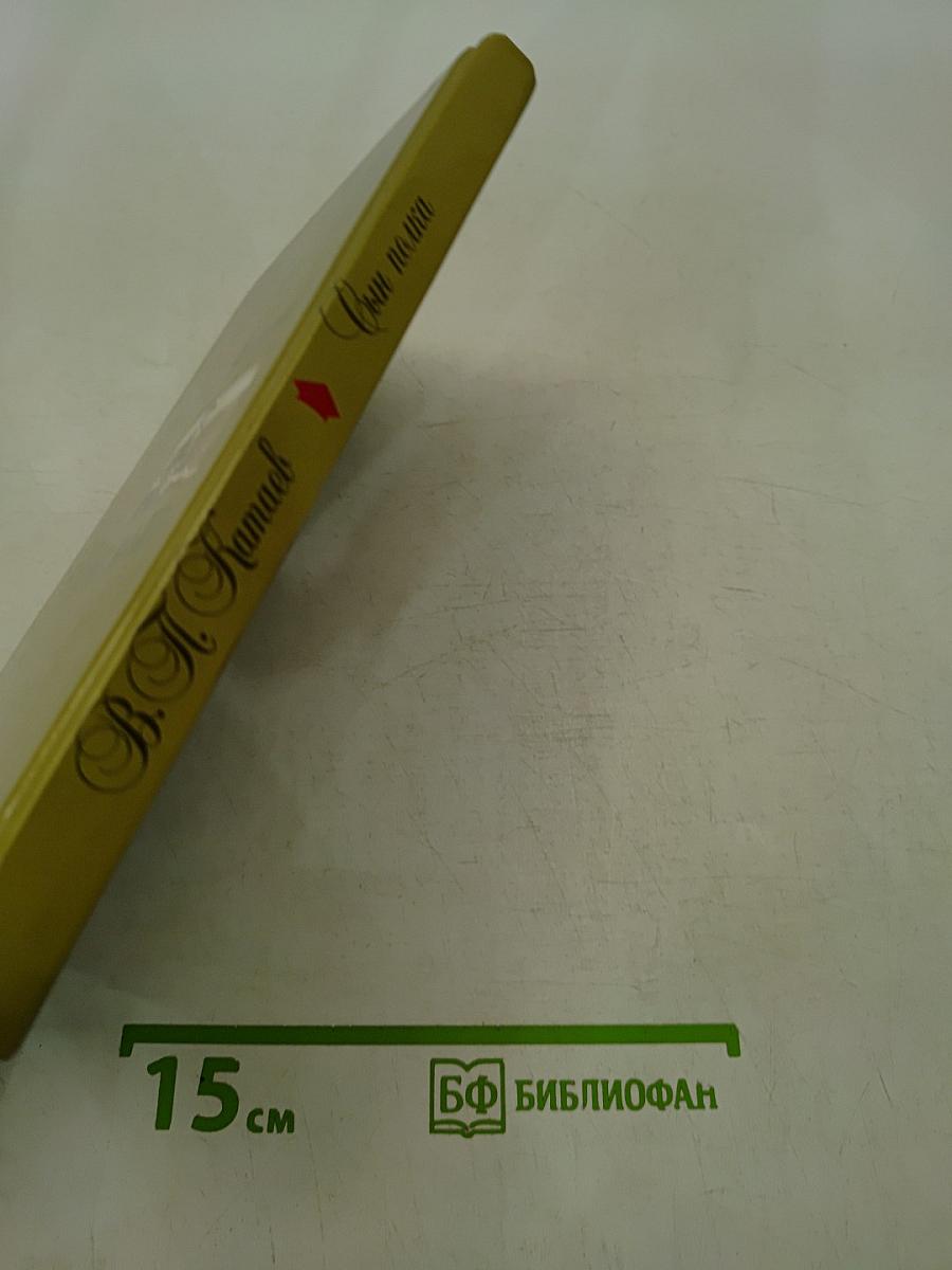Сын полка