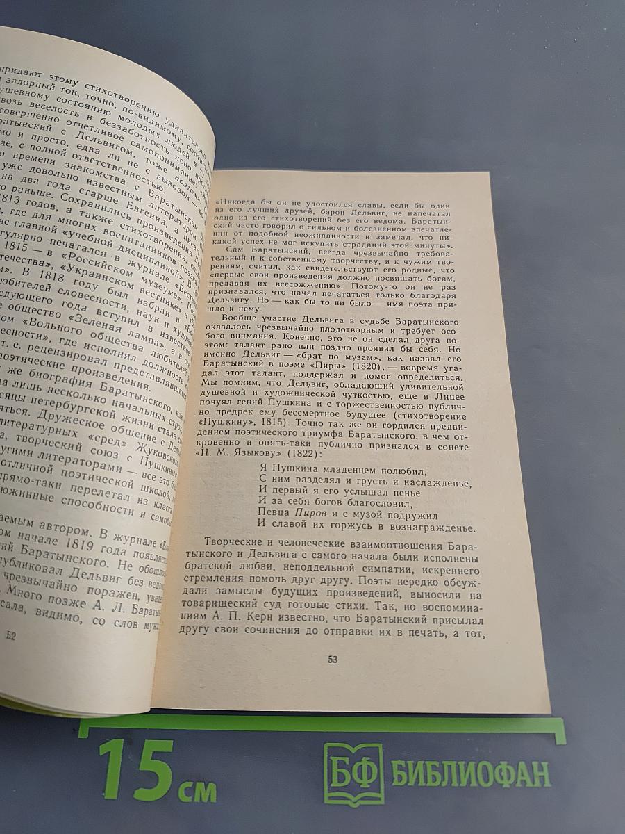 Евгений Абрамович Баратынский. Книга для учащихся старших классов средней школы