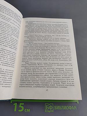 Карьера Ругонов. Добыча