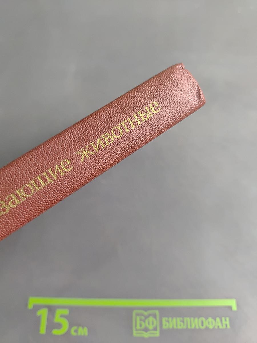 Редкие и исчезающие животные: По страницам Красной книги СССР