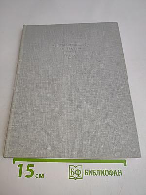Амурский остров