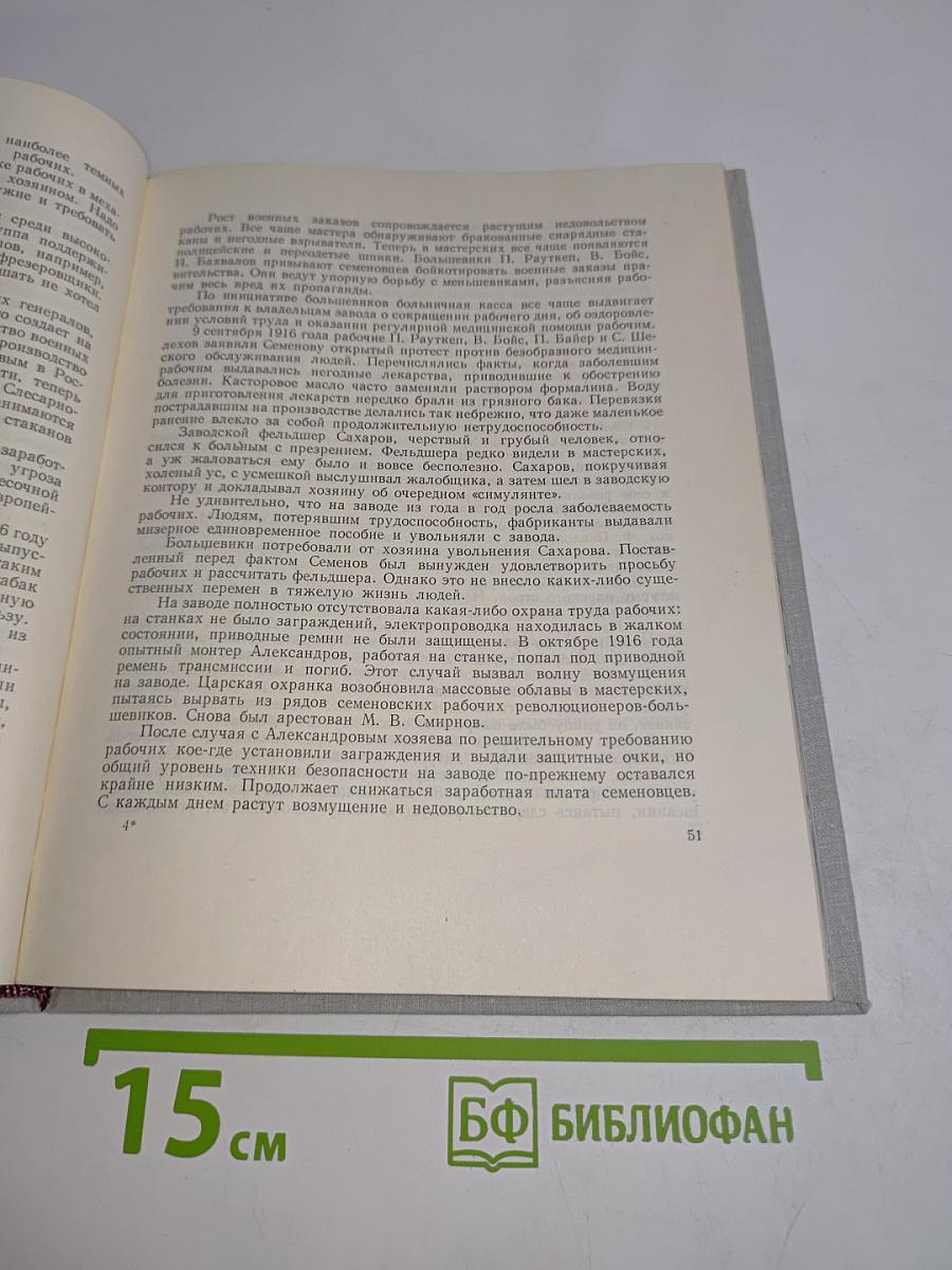 Амурский остров
