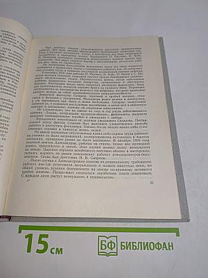Амурский остров