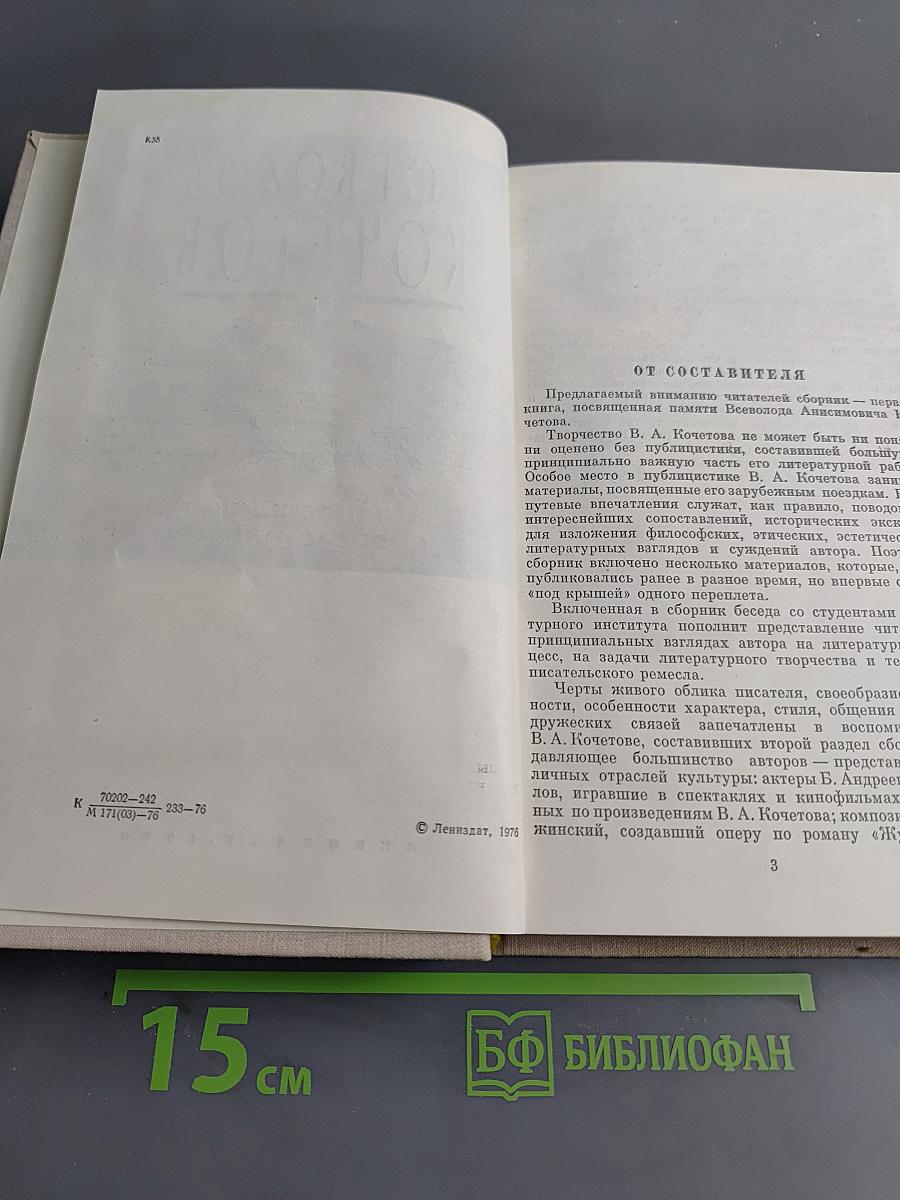 Публицистика. Воспоминания современников