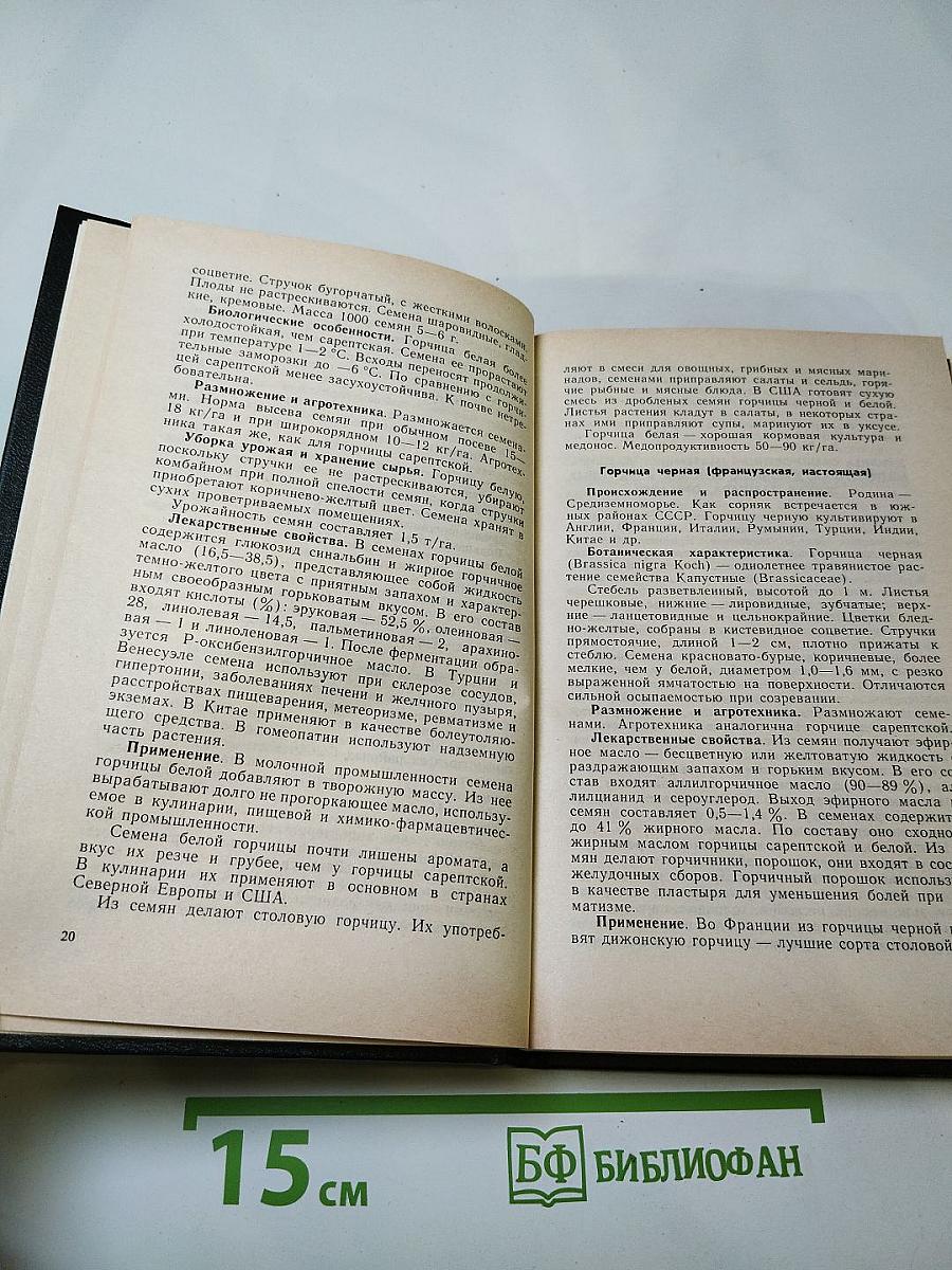 Пряно-ароматические растения