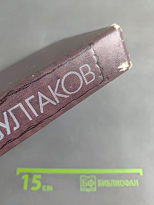 Дьяволиада. Повести, рассказы, фельетоны, очерки