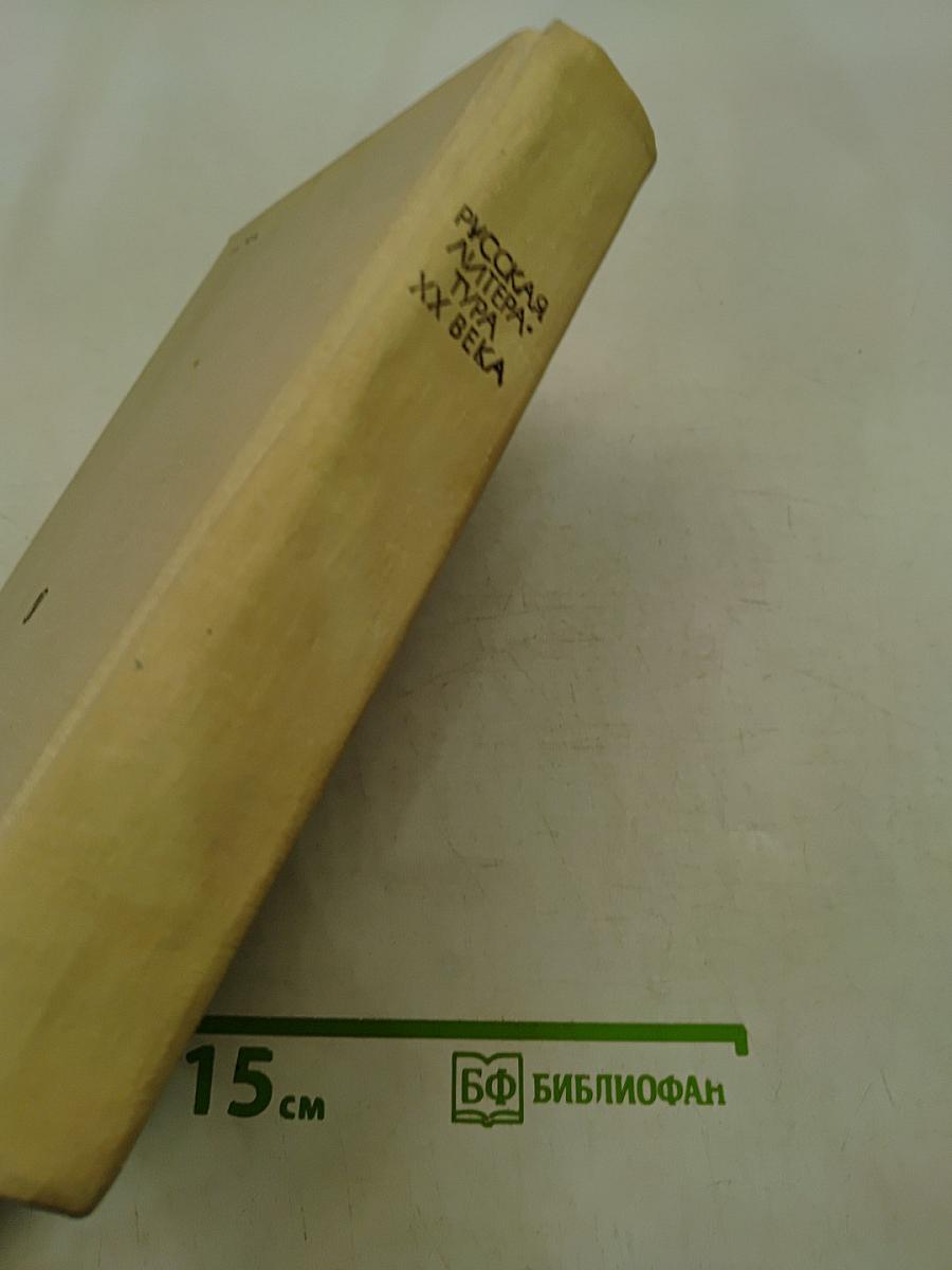 Русская литература XX века. Дооктябрьский период
