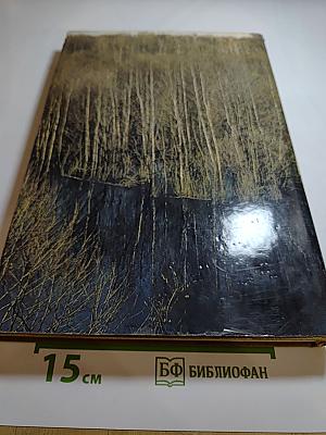 Мещерская сторона