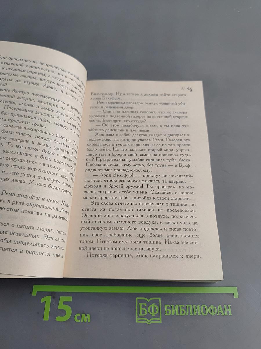 Клятва рыцаря