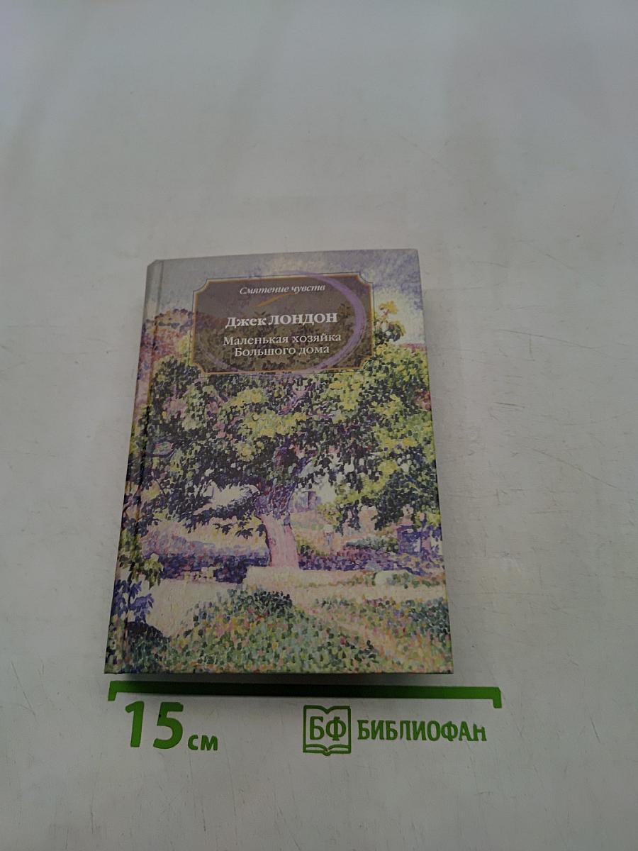 Маленькая хозяйка большого дома