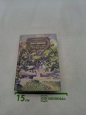 Маленькая хозяйка большого дома