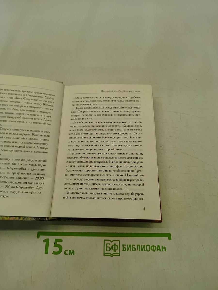 Маленькая хозяйка большого дома