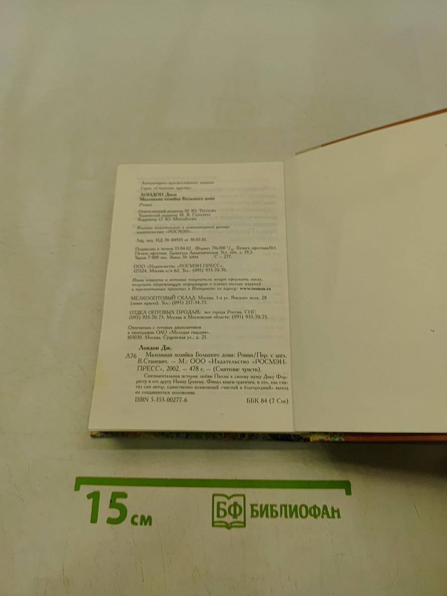 Маленькая хозяйка большого дома