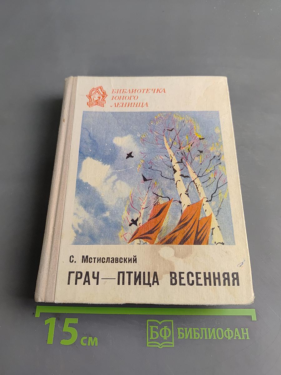 Грач — птица весенняя