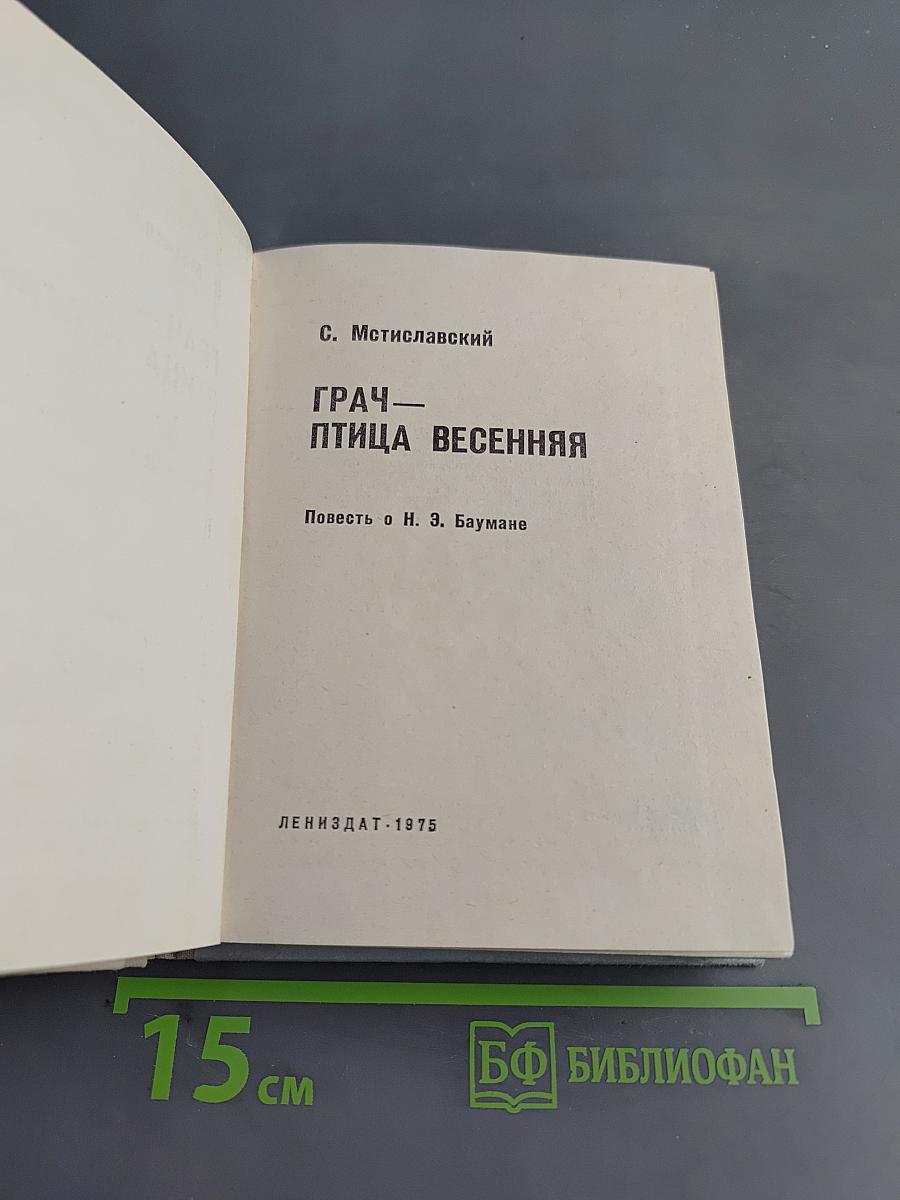 Грач — птица весенняя