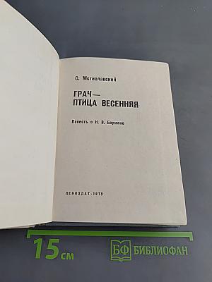 Грач — птица весенняя