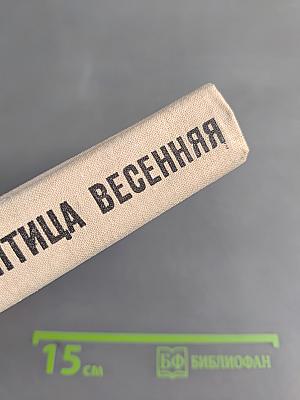 Грач — птица весенняя