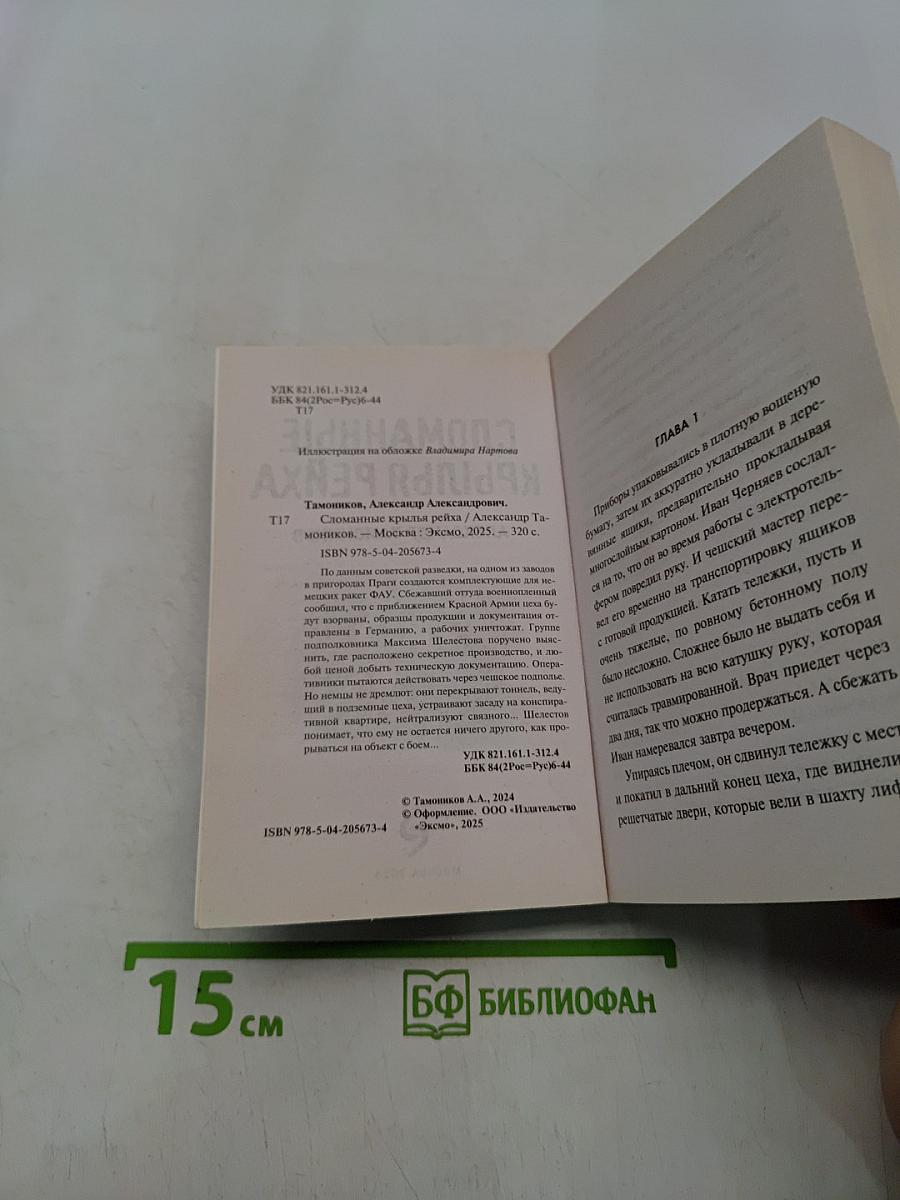 Сломанные крылья Рейха