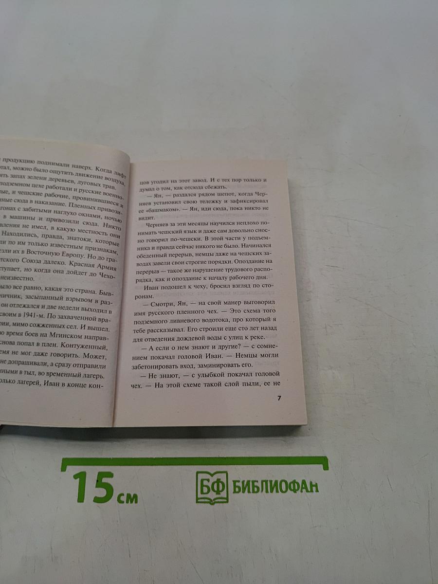 Сломанные крылья Рейха