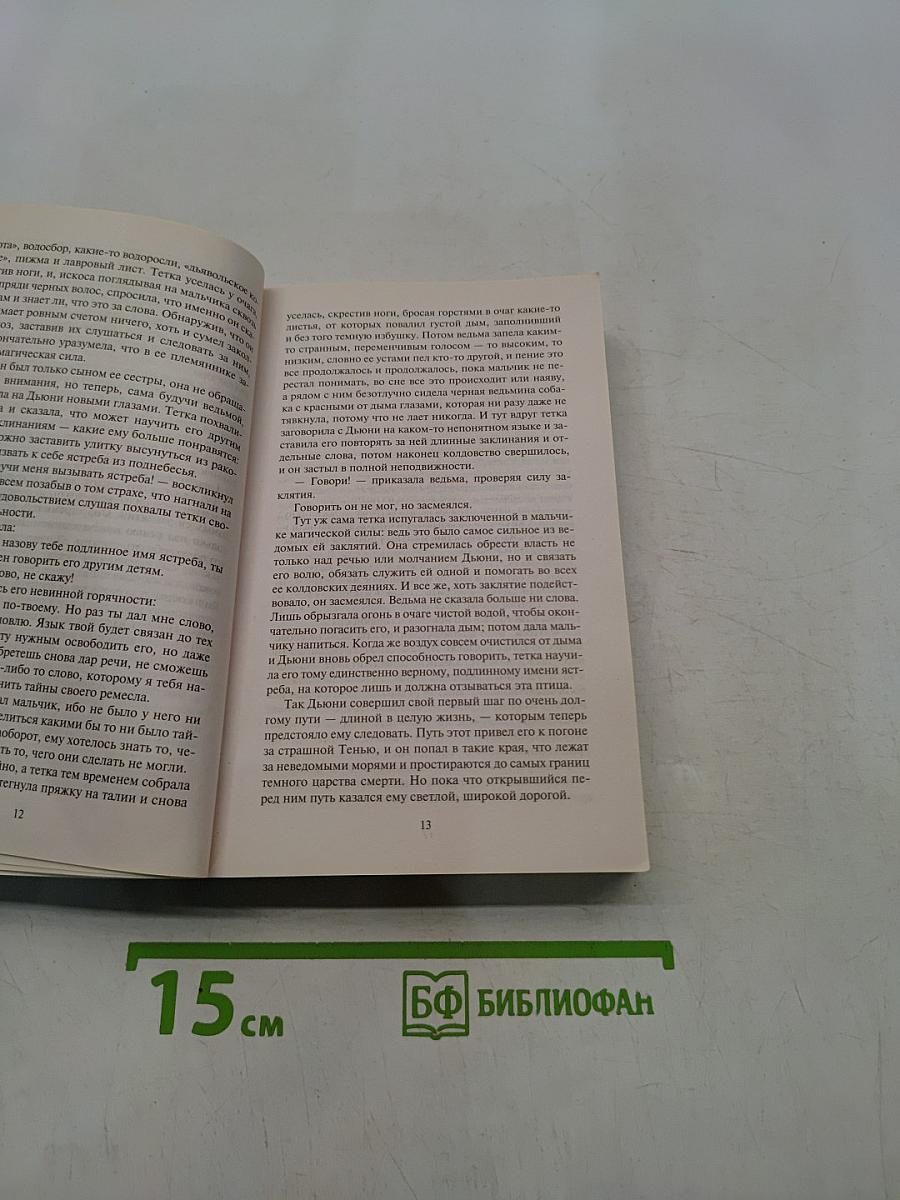 Волшебник Земноморья