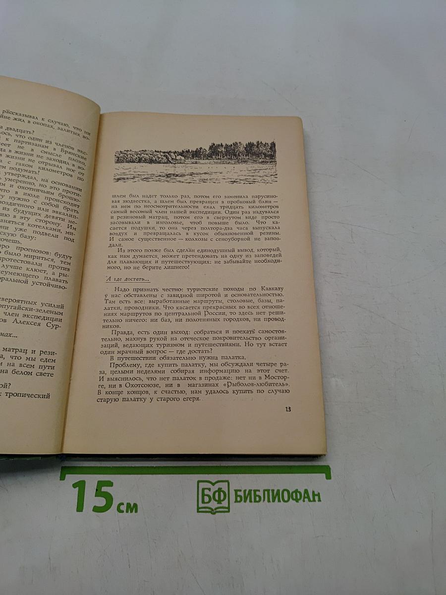 Лесная красавица