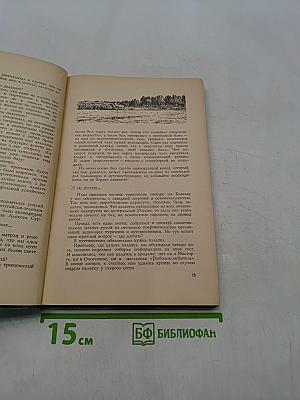 Лесная красавица
