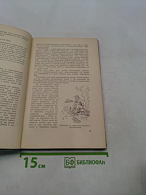 Лесная красавица